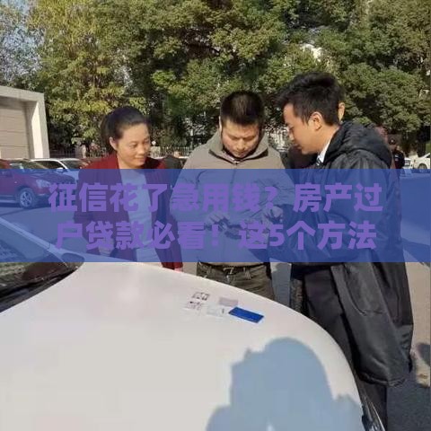 征信花了急用钱？房产过户贷款必看！这5个方法帮你解决难题