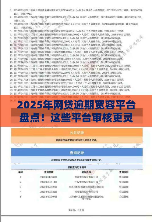 2025年网贷逾期宽容平台盘点！这些平台审核更灵活？