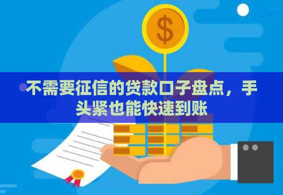 不需要征信的贷款口子盘点，手头紧也能快速到账