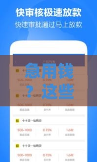 急用钱？这些好下款的优品口子你知道吗？速看最新推荐！