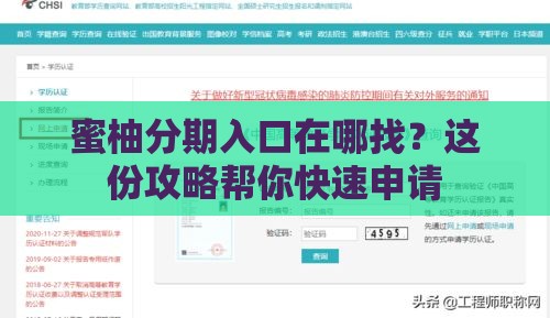 蜜柚分期入口在哪找？这份攻略帮你快速申请