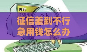 征信差到不行急用钱怎么办？这5个靠谱渠道或许能救急