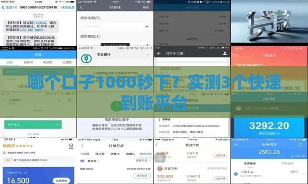 哪个口子1000秒下？实测3个快速到账平台