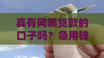 真有网黑贷款的口子吗？急用钱必看，这些内幕要警惕！