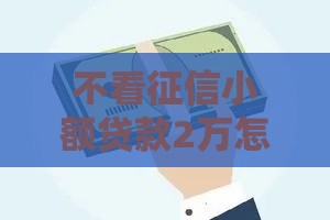 不看征信小额贷款2万怎么申请？这些渠道更靠谱
