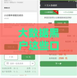大数据黑户这些口子还真能下款
