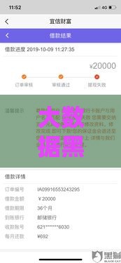 大数据黑户这些口子还真能下款