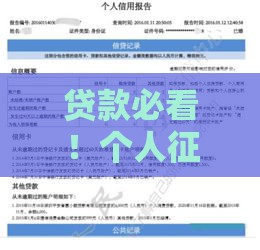 贷款必看！个人征信官网查询入口及详细使用指南