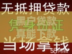 黑户贷款真能下款？急用钱必看，避开这些坑！