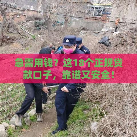 急需用钱？这18个正规贷款口子，靠谱又安全！
