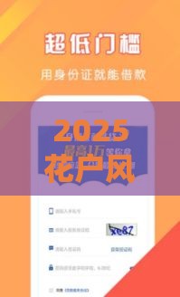 2025花户风控必过的口子亲测有效！这5招帮你轻松拿钱