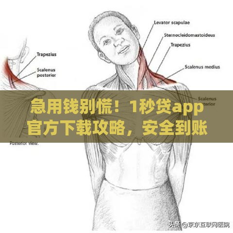 急用钱别慌！1秒贷app官方下载攻略，安全到账快
