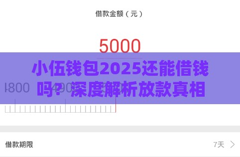 小伍钱包2025还能借钱吗？深度解析放款真相