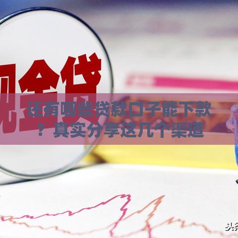 还有哪些贷款口子能下款？真实分享这几个渠道