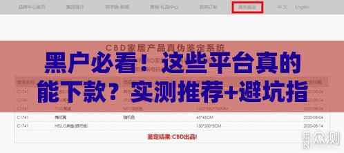 黑户必看！这些平台真的能下款？实测推荐+避坑指南