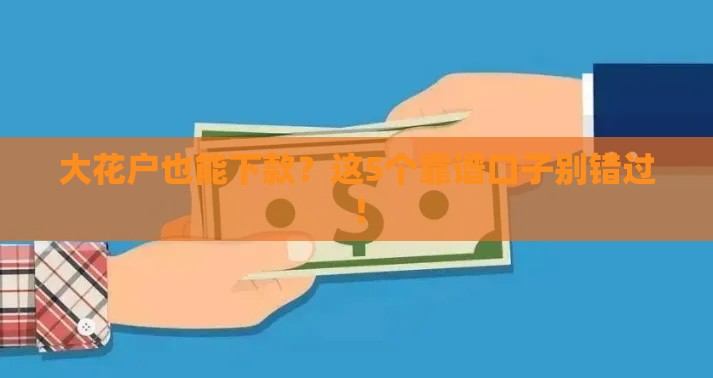大花户也能下款？这5个靠谱口子别错过！