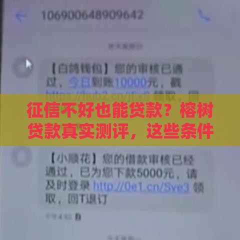 征信不好也能贷款？榕树贷款真实测评，这些条件必须达标