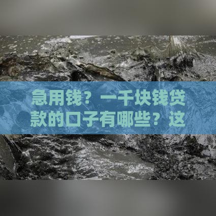 急用钱？一千块钱贷款的口子有哪些？这5个正规渠道快速到账！