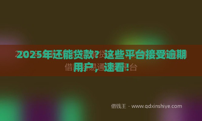 2025年还能贷款？这些平台接受逾期用户，速看！