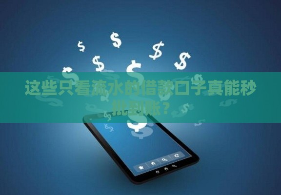 这些只看流水的借款口子真能秒批到账？
