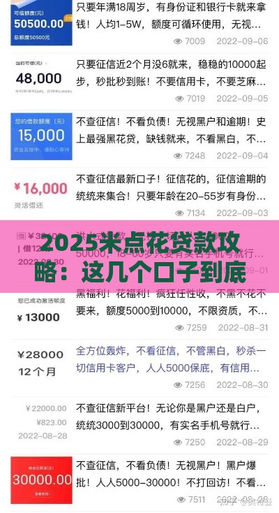 2025米点花贷款攻略：这几个口子到底靠不靠谱？