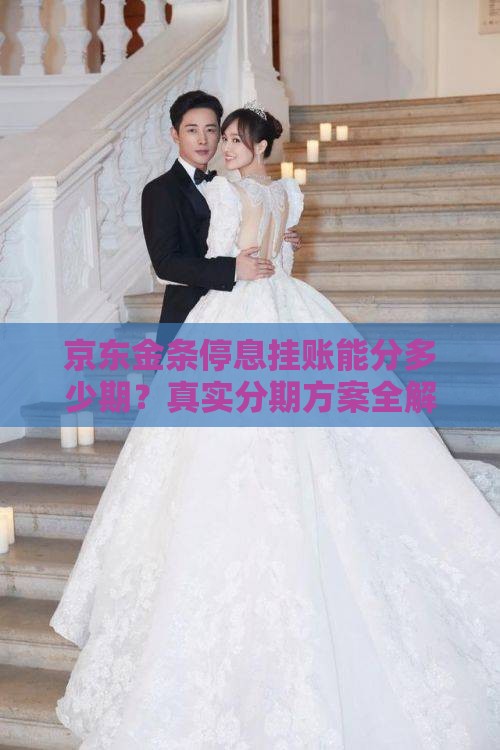 京东金条停息挂账能分多少期？真实分期方案全解析！