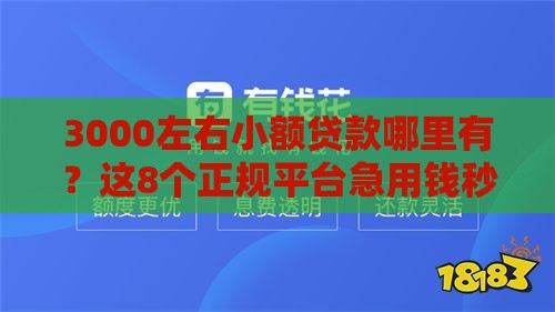 3000左右小额贷款哪里有？这8个正规平台急用钱秒到账！
