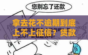 拿去花不逾期到底上不上征信?贷款老用户揭秘信用真相 拿去花不逾期到底上不上征信?贷款老用户揭秘信用真相
