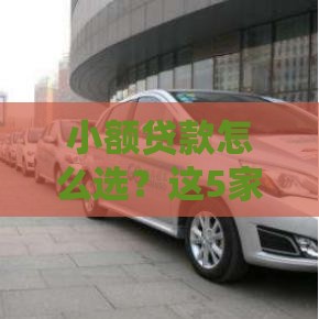 小额贷款怎么选？这5家好申请又靠谱，手把手教你避坑！