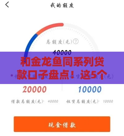 和金龙鱼同系列贷款口子盘点！这5个靠谱平台申请快、利息低
