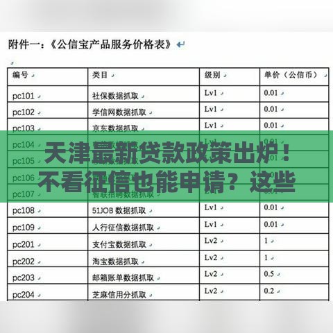 天津最新贷款政策出炉！不看征信也能申请？这些细节要注意