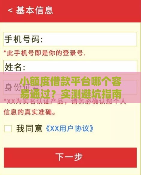 小额度借款平台哪个容易通过？实测避坑指南