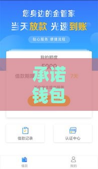 承诺钱包系列口子有哪些？2023这些贷款平台真能下款吗？