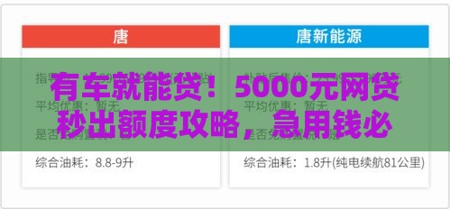 有车就能贷！5000元网贷秒出额度攻略，急用钱必看