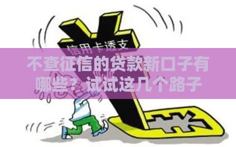 不查征信的贷款新口子有哪些？试试这几个路子