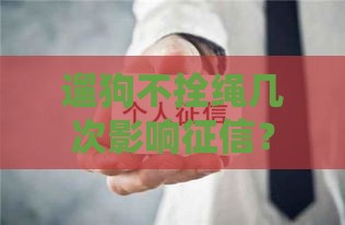 遛狗不拴绳几次影响征信？这些贷款细节要注意！