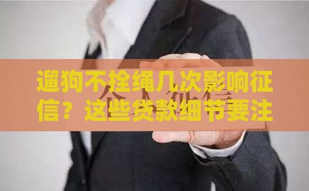 遛狗不拴绳几次影响征信？这些贷款细节要注意！