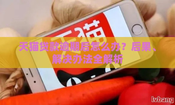 天猫贷款逾期后怎么办？后果、解决办法全解析