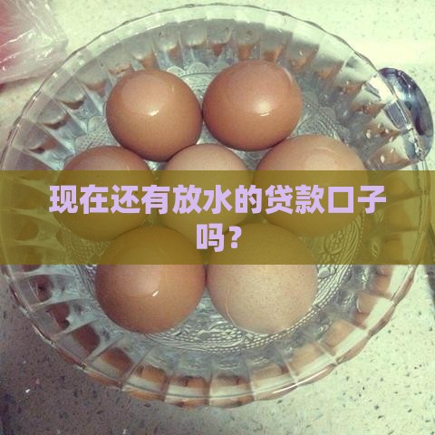 现在还有放水的贷款口子吗？