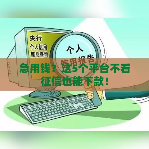 急用钱？这5个平台不看征信也能下款！