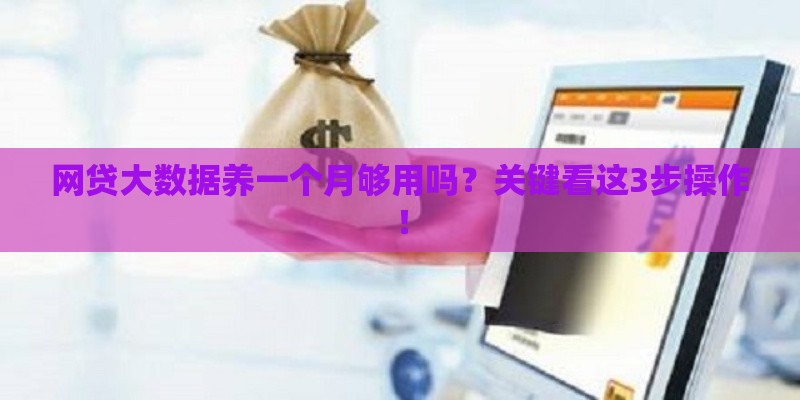 网贷大数据养一个月够用吗？关键看这3步操作！