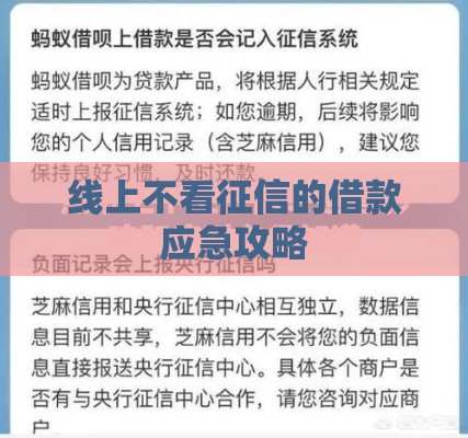 线上不看征信的借款应急攻略