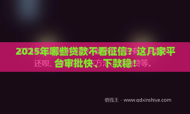 2025年哪些贷款不看征信？这几家平台审批快、下款稳！