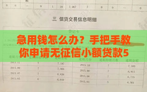 急用钱怎么办？手把手教你申请无征信小额贷款5000的窍门