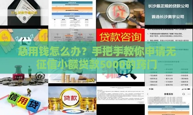 急用钱怎么办？手把手教你申请无征信小额贷款5000的窍门
