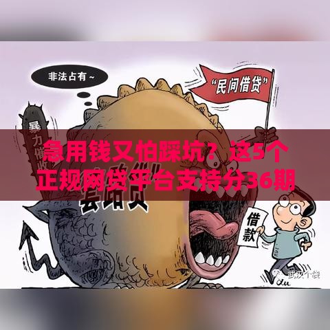 急用钱又怕踩坑？这5个正规网贷平台支持分36期！