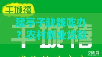 建亭子缺钱咋办？农村创业贷款哪个口子最划算