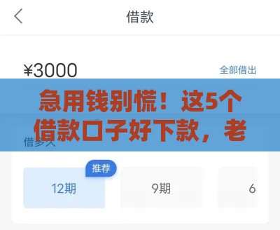 急用钱别慌！这5个借款口子好下款，老铁们亲测靠谱！