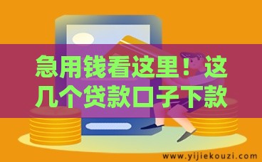 急用钱看这里！这几个贷款口子下款超快 轻松解决资金难题