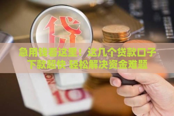 急用钱看这里！这几个贷款口子下款超快 轻松解决资金难题